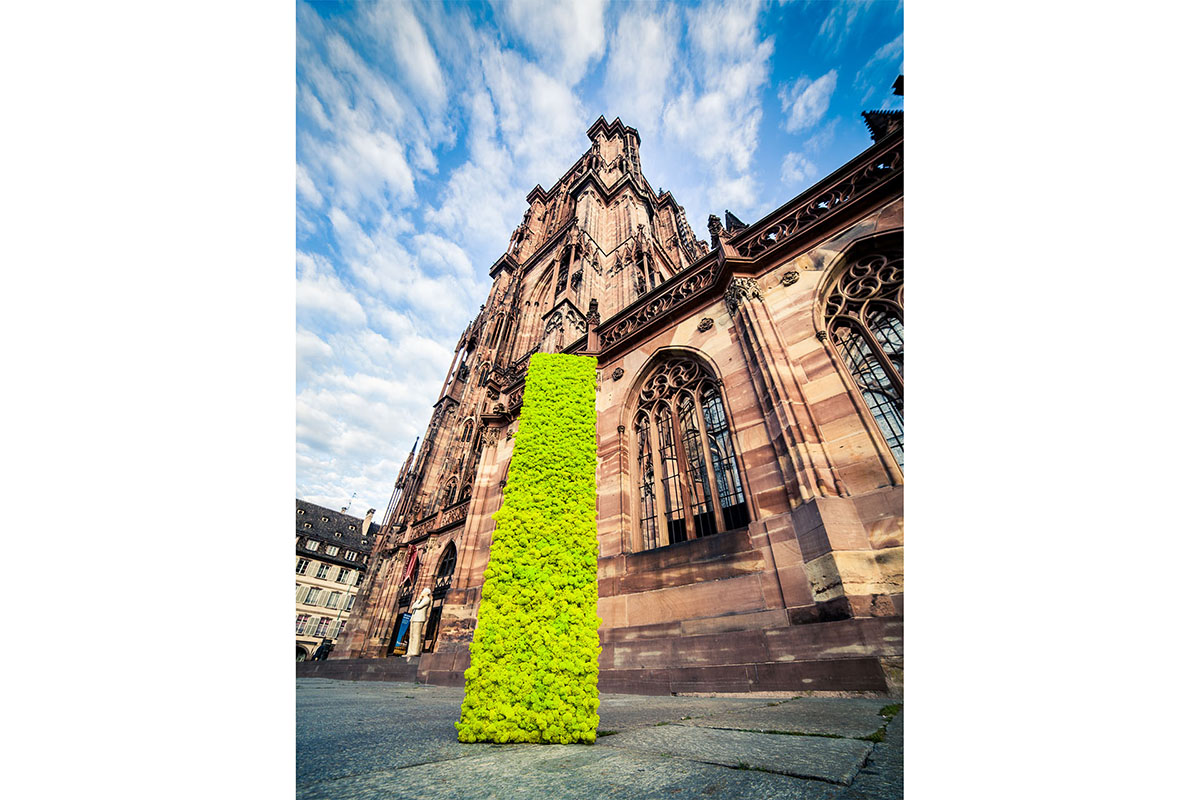 Renaud Couderc peRCeption atelier photo - illustration de produit - pack shot - mise en scène - Strasbourg Alsace