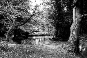 Photographie pose longue parc Orangerie à Strasbourg