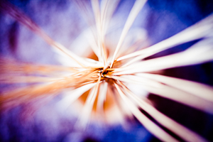 perception-formation-presentation-cours-debutants